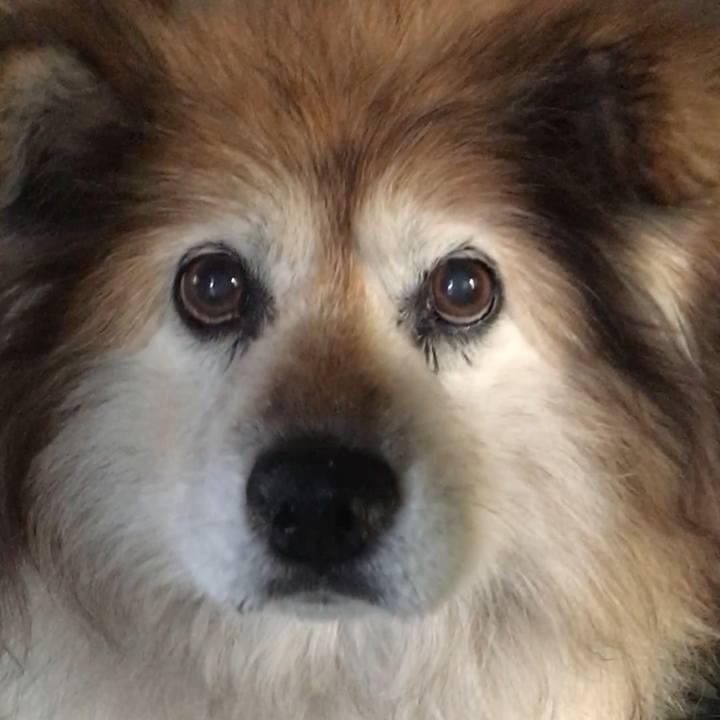 9791e0be 8061 4cb5 9972 864970791890 1607921984091