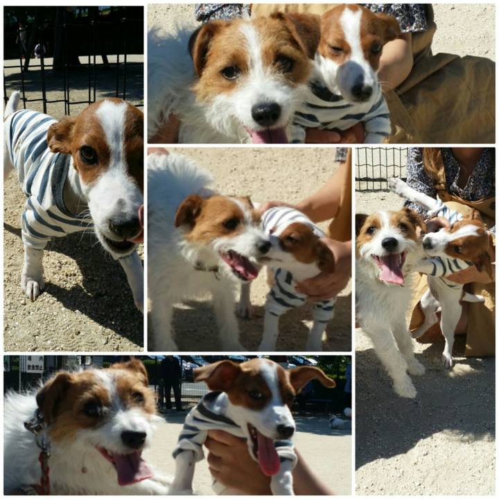 9791e43a 81dd 44c1 8871 3ad710673e9f 1526858088415