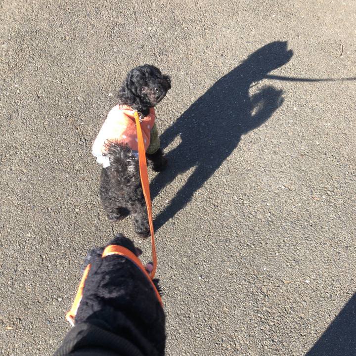 9792020c 7ca2 42a4 9d0d a3e0838826f1 1548987552521