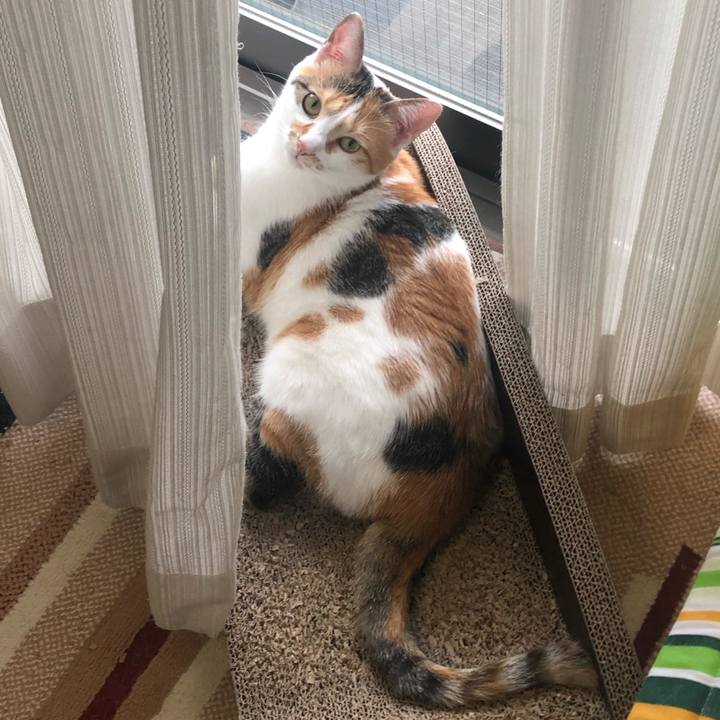 97924552 ab77 4cbd 948c 995b24daf4e5 1600126253427