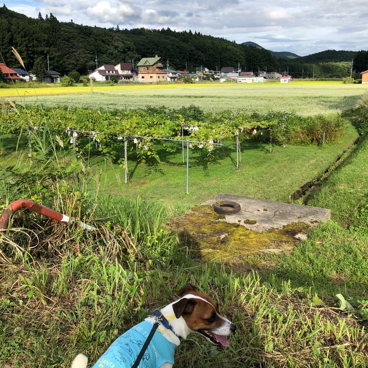 97926263 359d 46b2 b7df 786a27ca3699 1599902996717