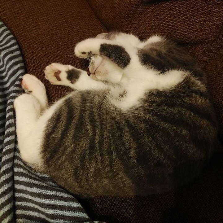 979276d7 c5b0 402c 8c76 e0fde92ad901 1571981563492