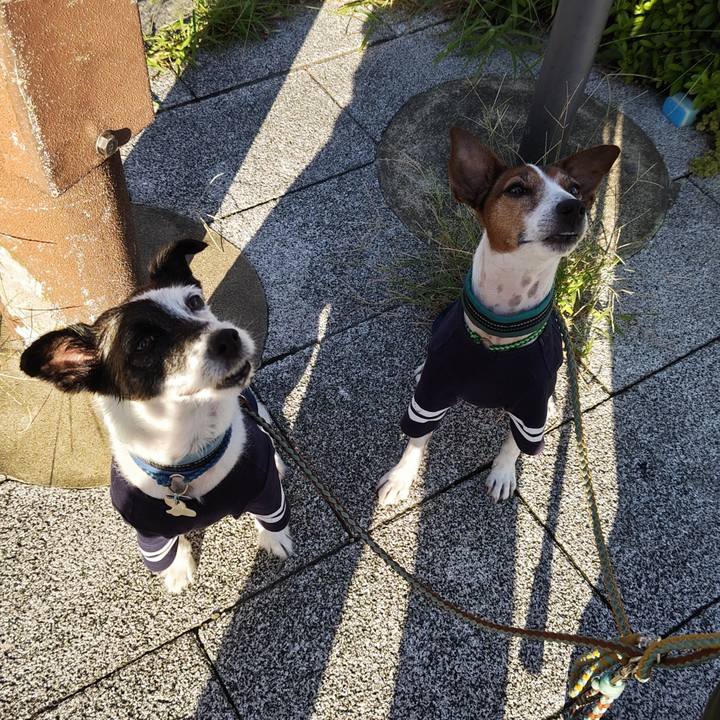 97929519 1b2a 4617 93f0 71ac9158d065 1726005761554