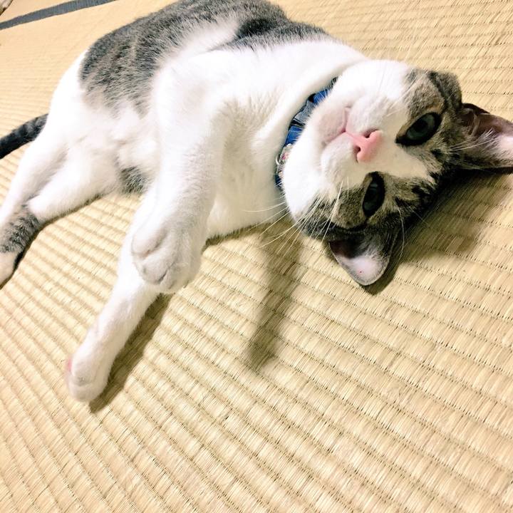 9792b2fa 717b 47f3 adf6 1d191dcf8edd 1533310094062