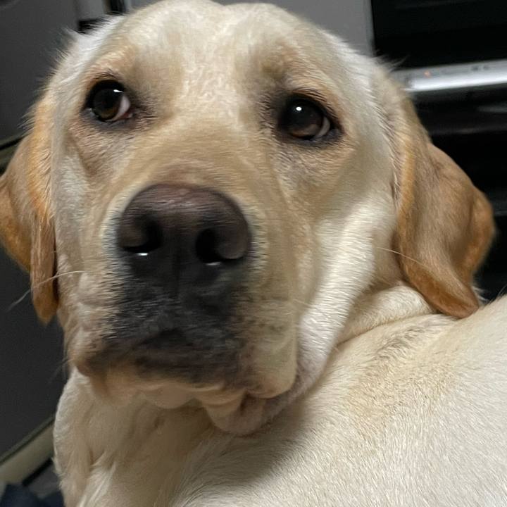 9792b5d2 e167 4700 9ecf 582c45dd62b3 1646917054244