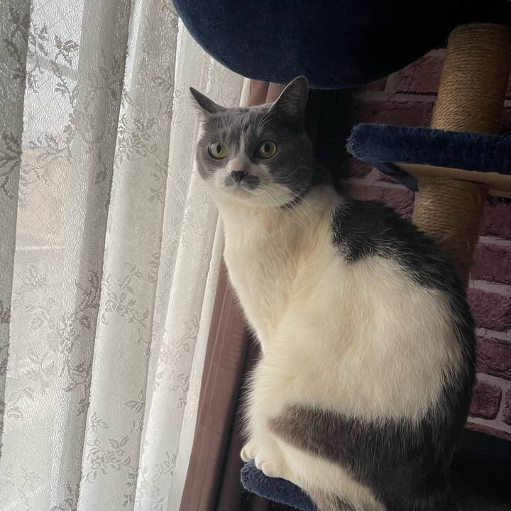 9792dce5 31bc 4eb4 b9aa 9d6ce87ce0b2 1713559130333