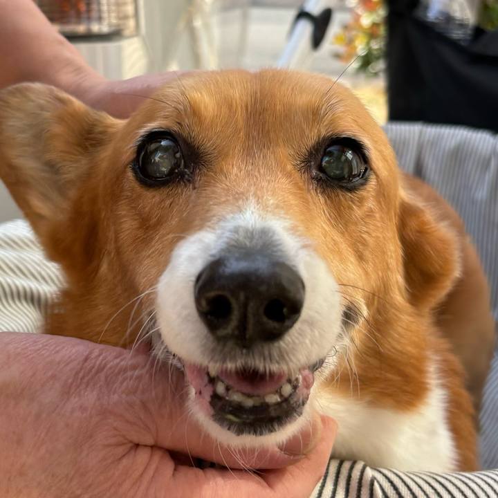 9792ee17 c15f 4d09 851d 036b14a48e7a 1741586757937