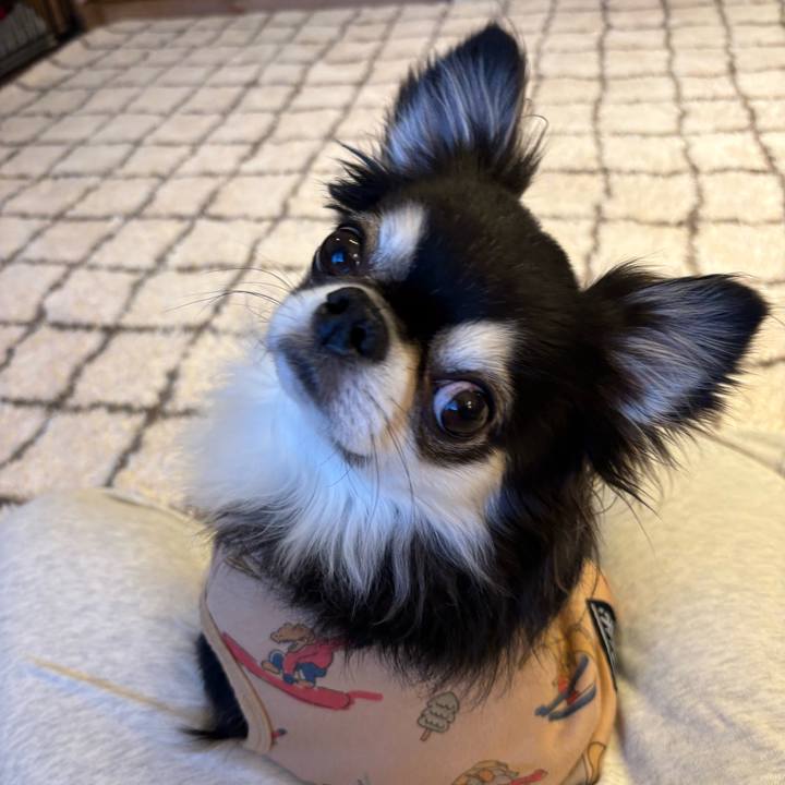 97930858 6a7c 4d91 ad5d df01dffb1192 1735663940318