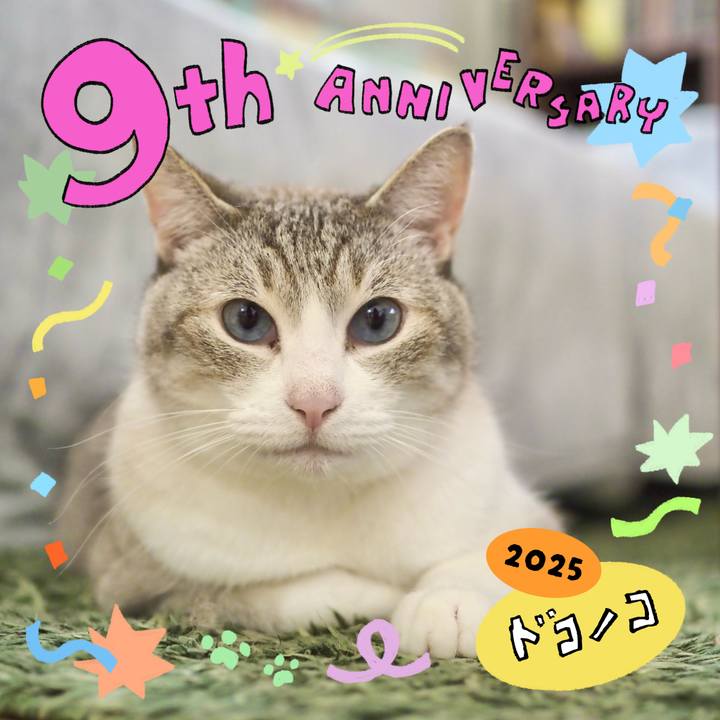 97930c67 0cbf 4335 9699 1e06c7cccab0 1749614274855