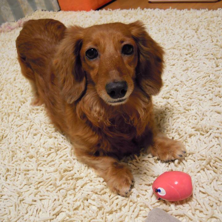 9793358a ff40 4da6 9d7c c6072ae0bbd5 1565193311776