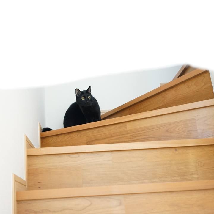 9793361a ce6f 4453 b3bc 6c9715b6a44e 1517788543664