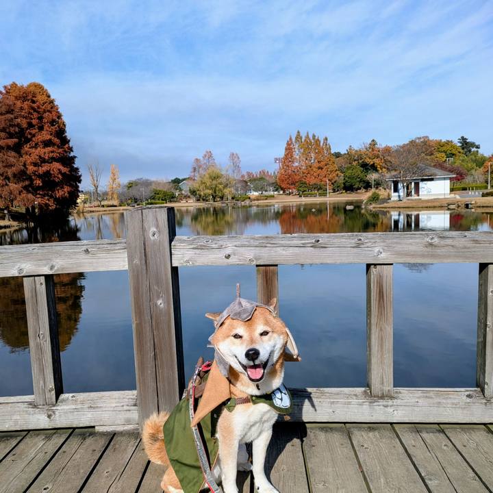 97934d17 06b3 4f6f 8f5e 8434d5744d71 1763978473396