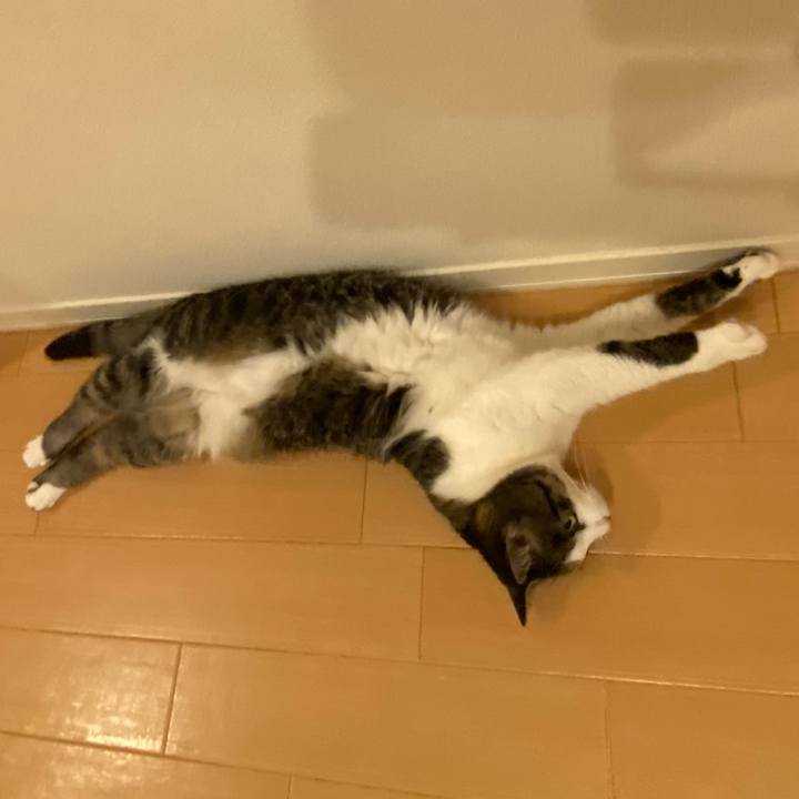 97935c45 af10 415c 9e84 b16ed4ababdc 1589200897066