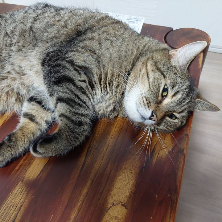 979378e4 dfcd 4993 a476 6949eb2c7392 1631655702437