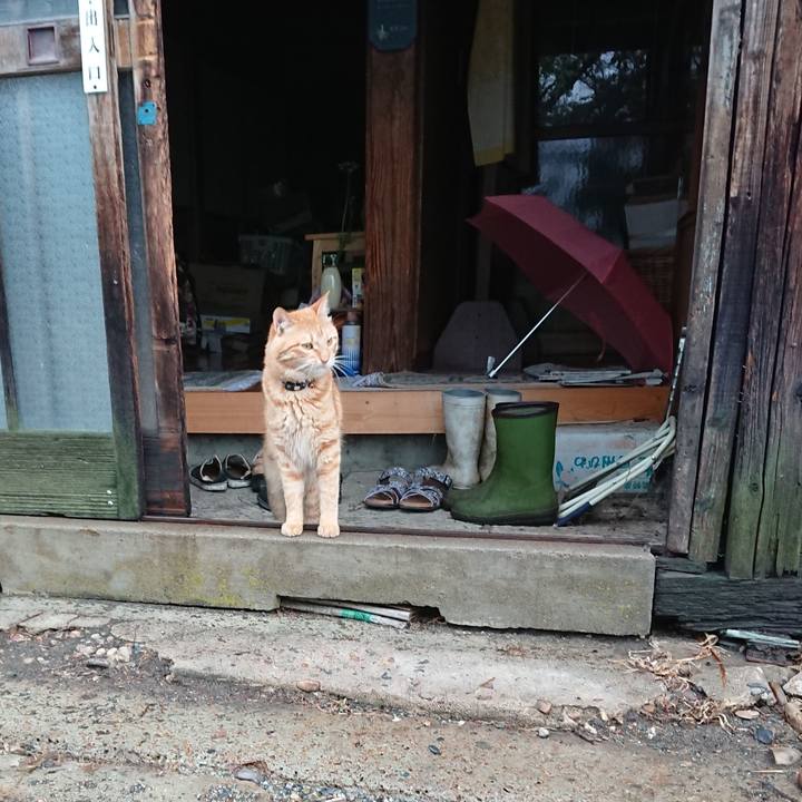 97938fa6 11d3 4c9d 9eca 902d39672579 1657919867855