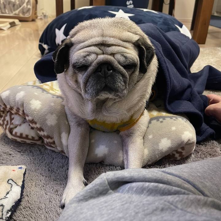 9793b50f 2672 4c78 a060 55a098bccb96 1768777600032