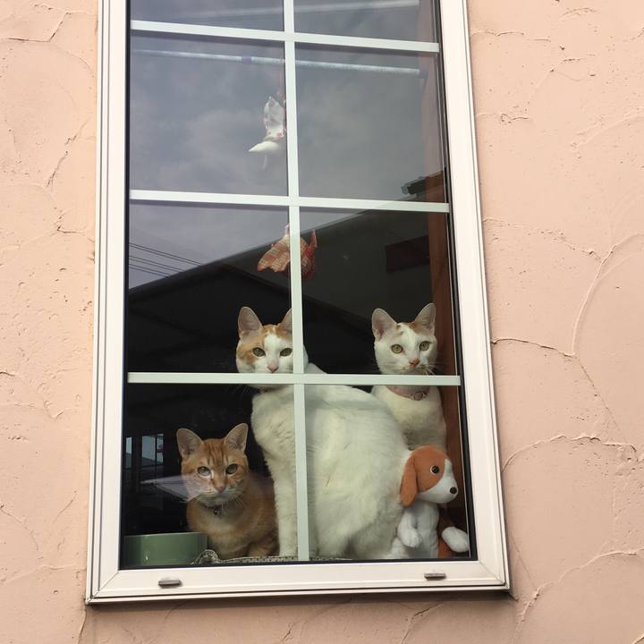 9793ca62 8481 41cd b392 a4a805eb08e9 1551430252242