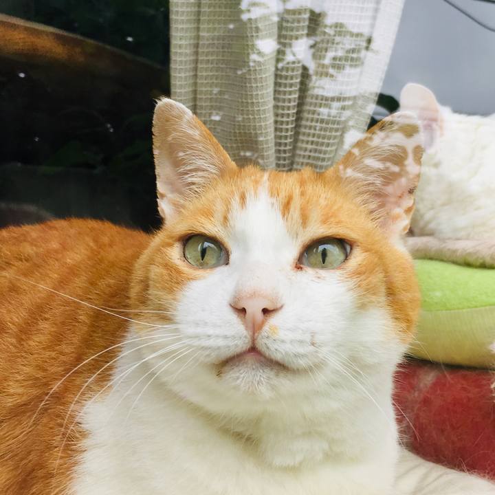 979430b3 8129 423e ae96 473f3fc8f28b 1561172114413