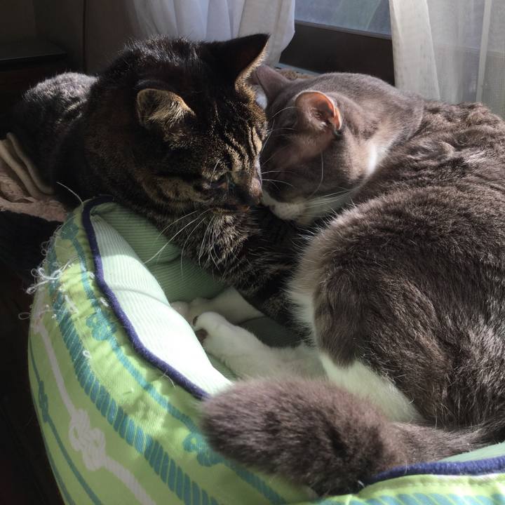 97946c7f dd9b 4503 8181 bc25da2ea408 1583569734641