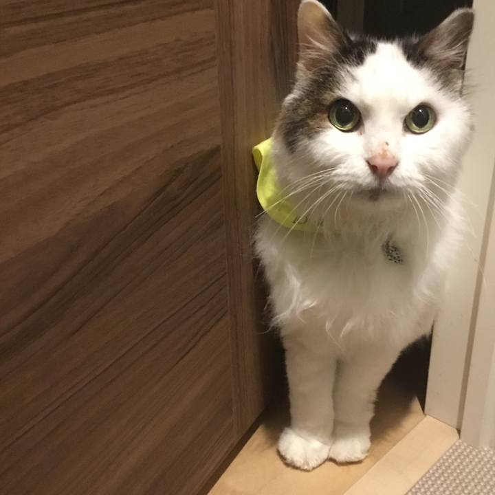 97949c26 5442 4278 857f c006001de581 1578998909783