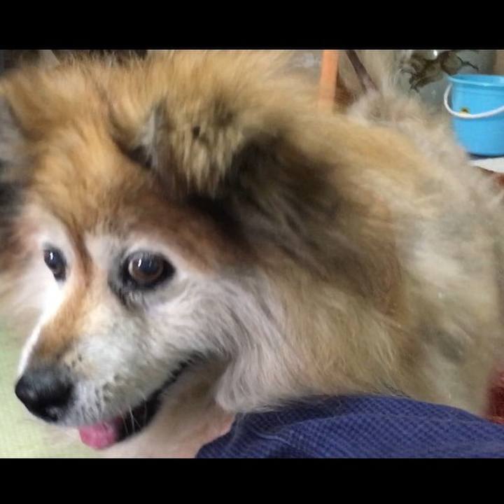 9794d8ed 635b 4b36 8385 723fb9f885a4 1612961151496