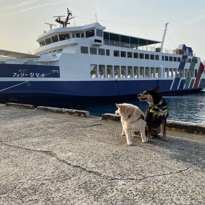 9794dcc1 91b8 4a20 baae c2e3a2ec8741 1678676214568