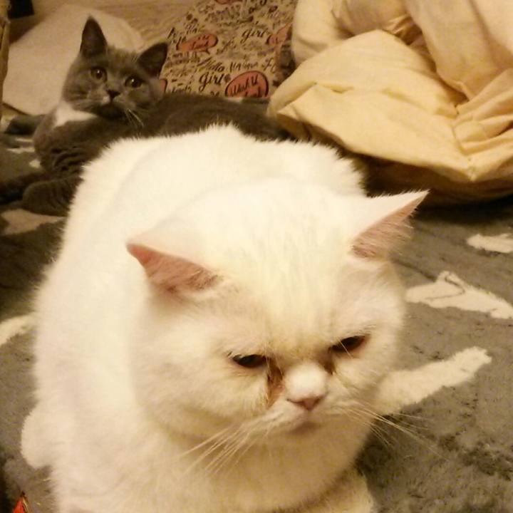 9794e2b1 a077 4688 a8d2 734631ffe490 1545949298939