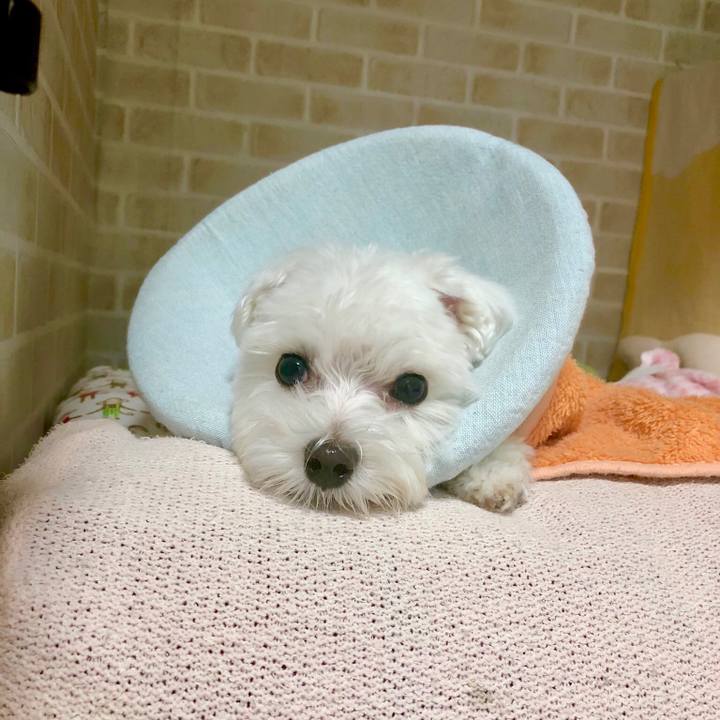 9794e5a2 bbee 43fc b14a 94e11dc6d69c 1541484146605