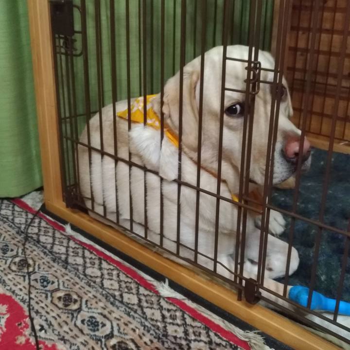 97951abc 5a49 431b 8481 6c45d07ace7d 1541866935490