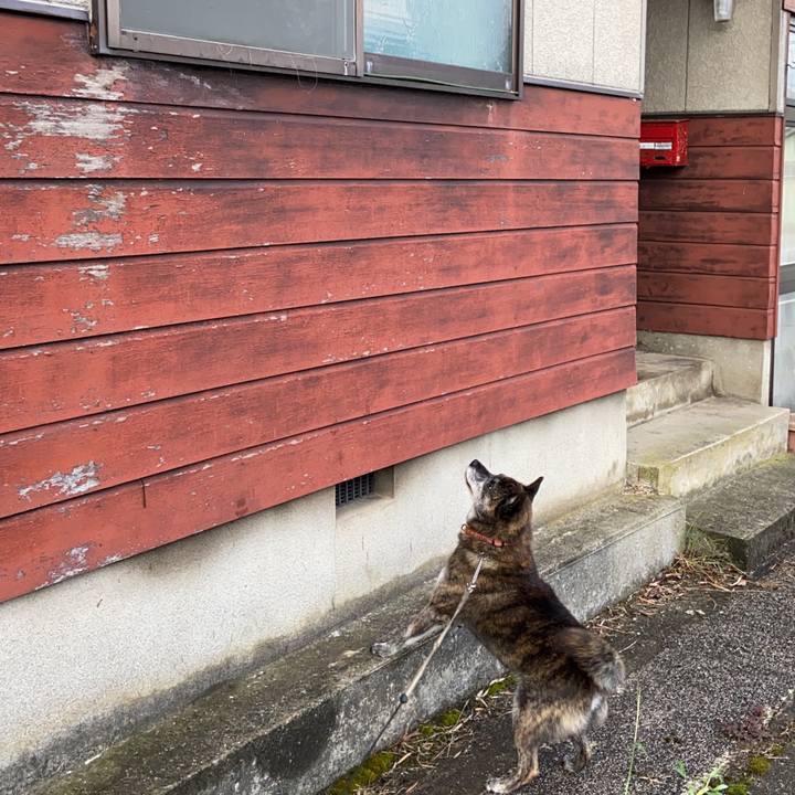 97952841 b796 42ea 85f2 1e4b859230f2 1629583572344