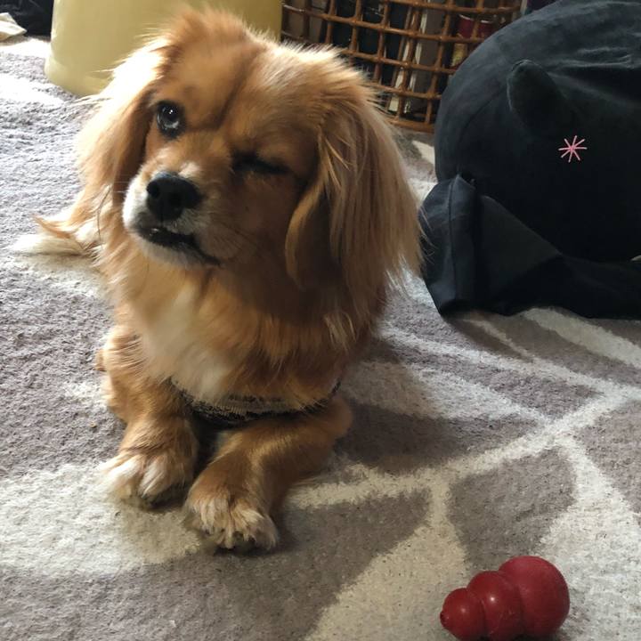 97954460 79d9 489b a7f1 377d84fd24cf 1522791521056