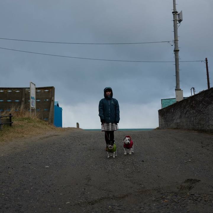 97954b15 f40c 4991 ad71 97f4281d1f7e 1514617628467