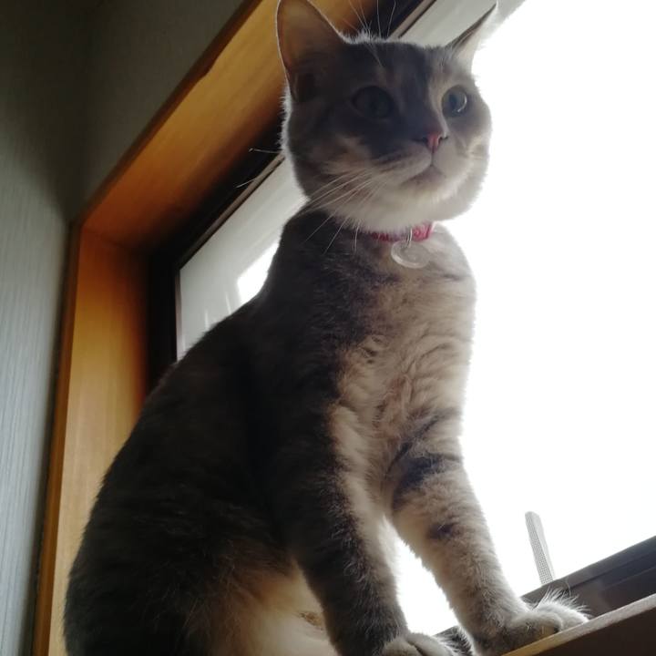 97956b00 5244 4a44 ae65 1ca0ccf0d696 1528766268458