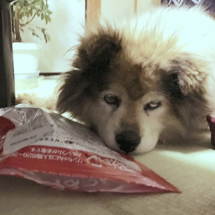 97958ec7 3ce2 4d86 a1f5 d439bba87519 1590928836453