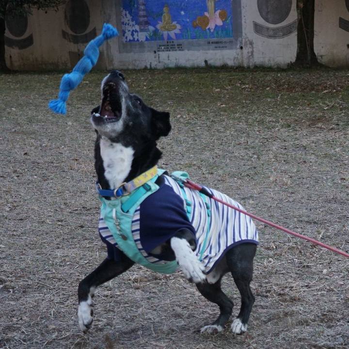 9795baa5 0503 493e 9cd4 0c00e9179c31 1770253786326