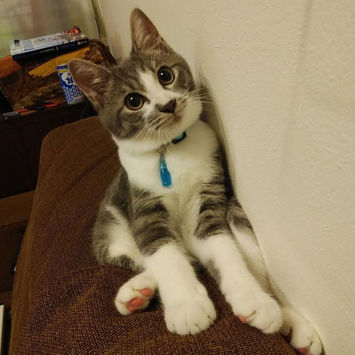 97961ff3 1301 4321 a3c6 0d4b66518b2c 1568212753306