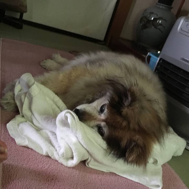 97962b46 b762 4d27 853d 52e1fee4239d 1561878558089