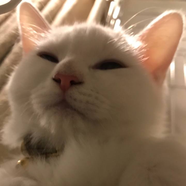 97964dd1 16cd 4ec8 b8ca 8a83a944f266 1509114300304