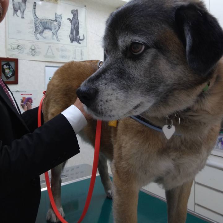 97966744 438f 42a5 a0c7 4c8a2d01365a 1557484818877