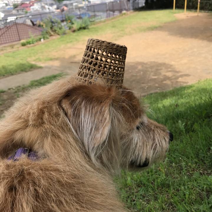 9796a444 a326 4b20 8183 f9ef292b3c76 1590632983864