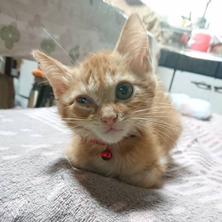 9796abd1 da81 49bf 9a65 4b8d453f6e02 1628806216244