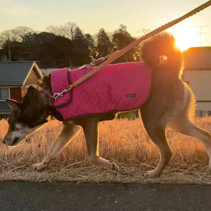 9796ff39 f087 4ce6 b79b 8a6278f5ec32 1768045678589