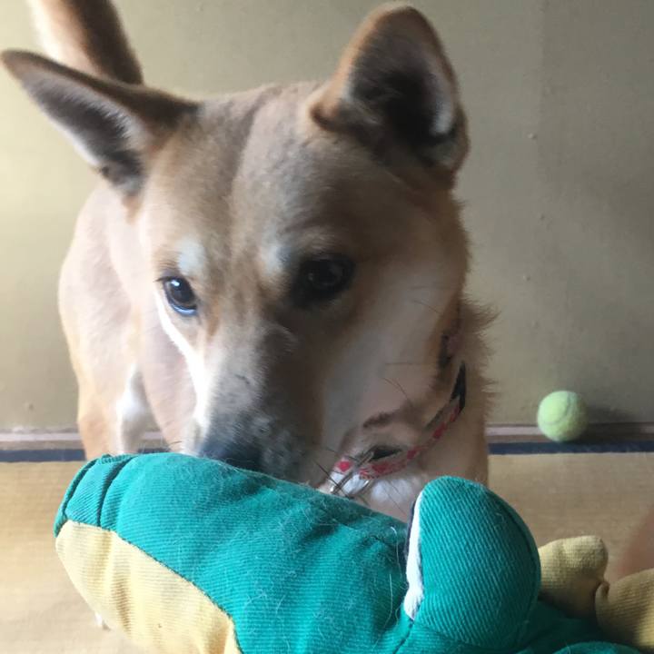 97976910 9530 4876 80b7 fe4313332b96 1518565245249