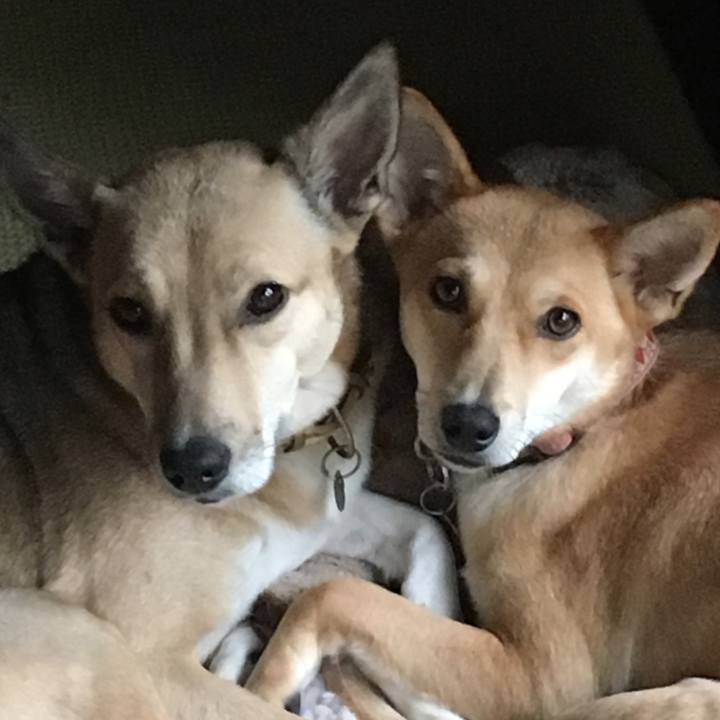 9797820a 1340 446d bca0 32d1a1021165 1509251337106