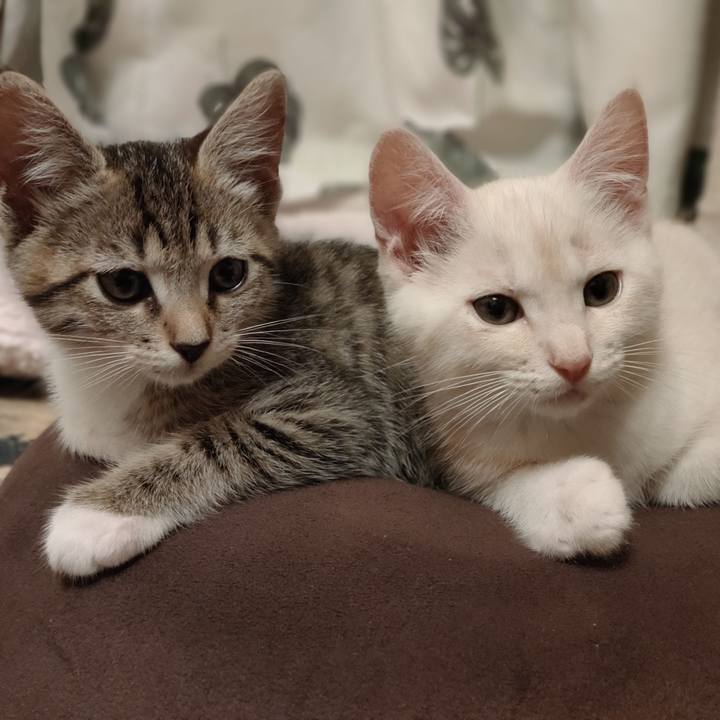 9797882d d3d7 47c7 bc44 d6943c4facc8 1624363848546