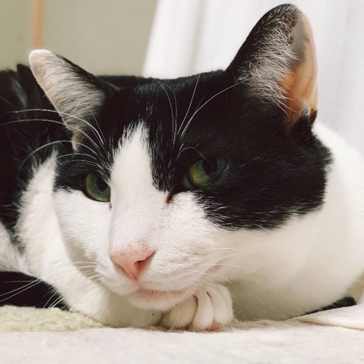 97978bc2 bc99 4373 8e47 182d40359c07 1555984401379