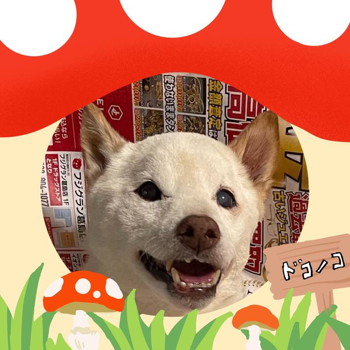 9797f74f 7e62 40f8 89d7 54d413fdd0c7 1729138244104