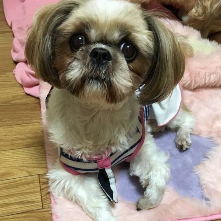 979835d2 2245 42ba bf4d 244b31f056c6 1763281456003