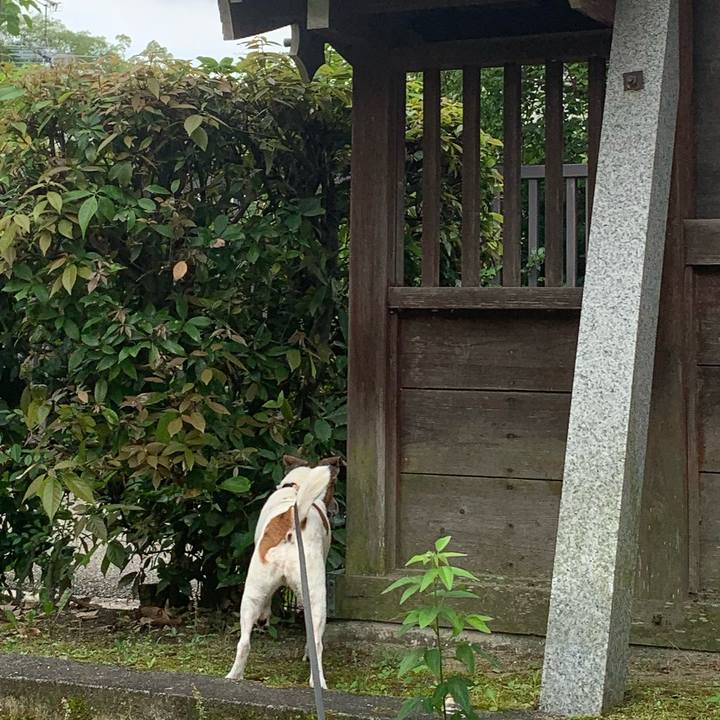 97984d4d 600d 4799 84c9 4f9ea1352278 1593209856629