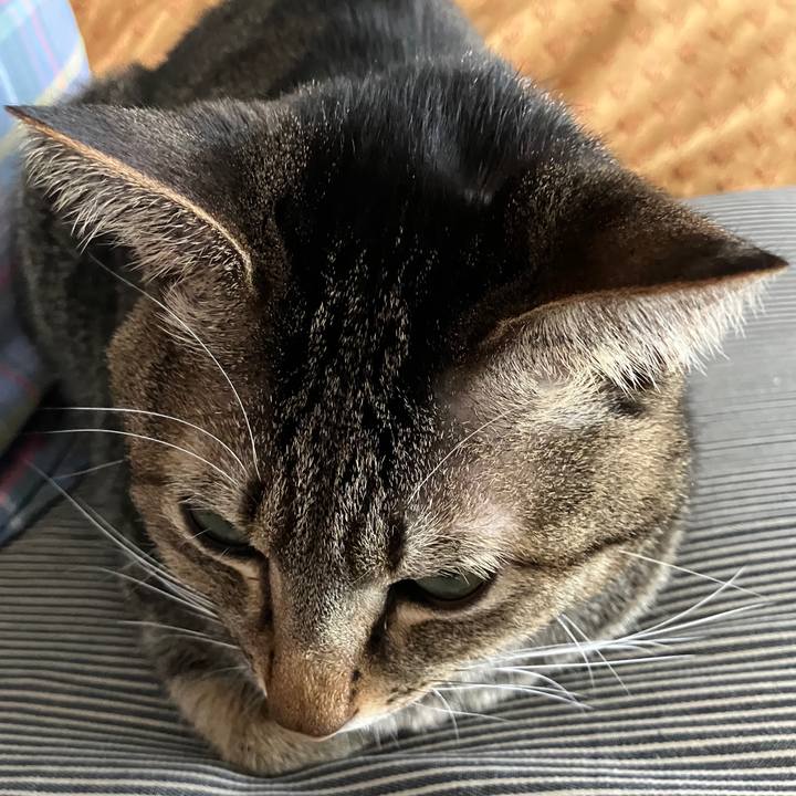 97985432 4459 461c 8875 1cde03ced50c 1766274880471